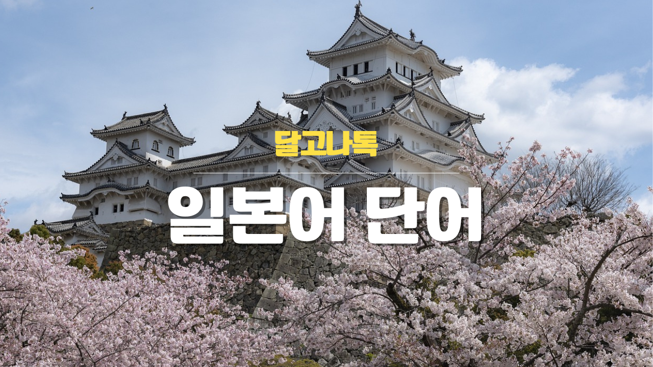 JLPT 일본어 단어